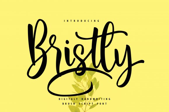 Bristly: A Versatile Handwritten Font for Web Design