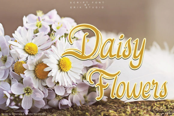 Daisy Flowers: A Romantic Script Typeface for Campaigns