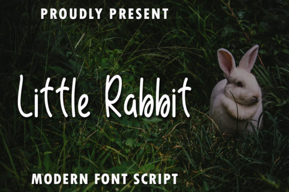 Little Rabbit: A Designer’s Take on Its Real-World Use