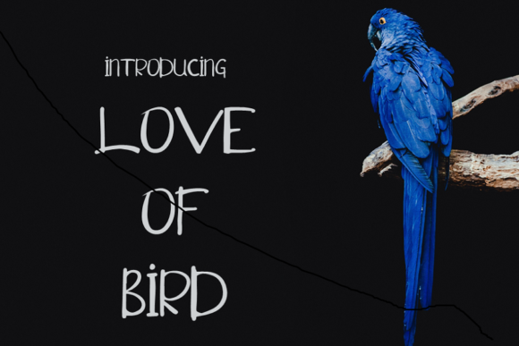 Love of Bird: A Handwritten Font That Elevates Small Business Branding