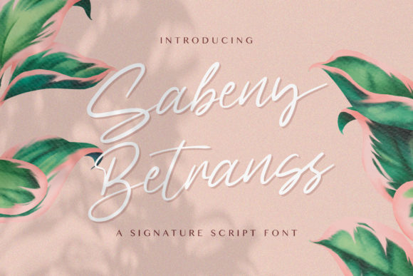 Sabeny Betranss: A Premium Script Font for Web Design