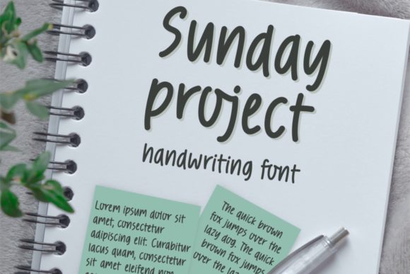 Sunday Project: A Real-World Designer Review